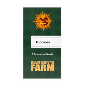 Barney's Farm Glookies | Feminisiert