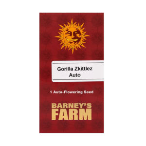 Barney's Farm Gorilla Zkittlez | Autoflowering