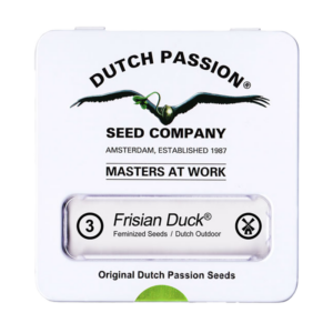 Dutch Passion Frisian Duck | Feminisiert