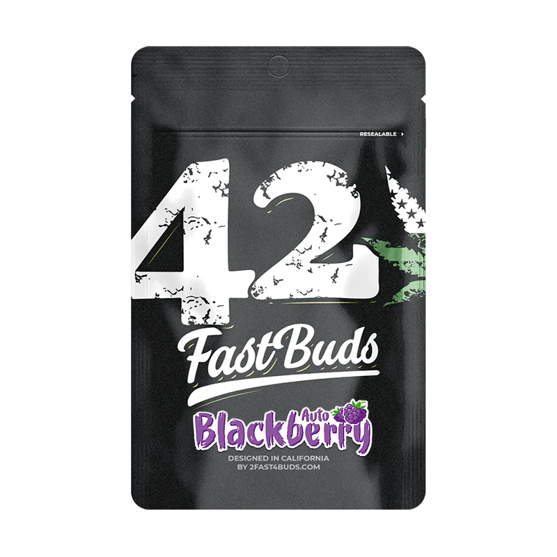Fast Buds Blackberry | Autoflowering