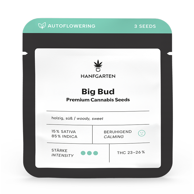 Hanfgarten Big Bud | Autoflowering