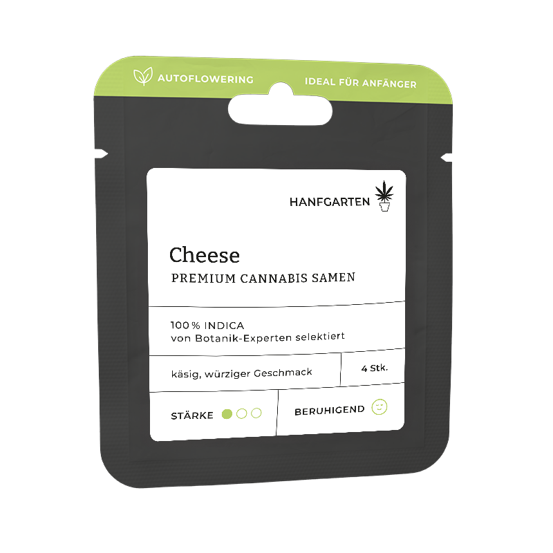 Hanfgarten Cheese | Autoflowering
