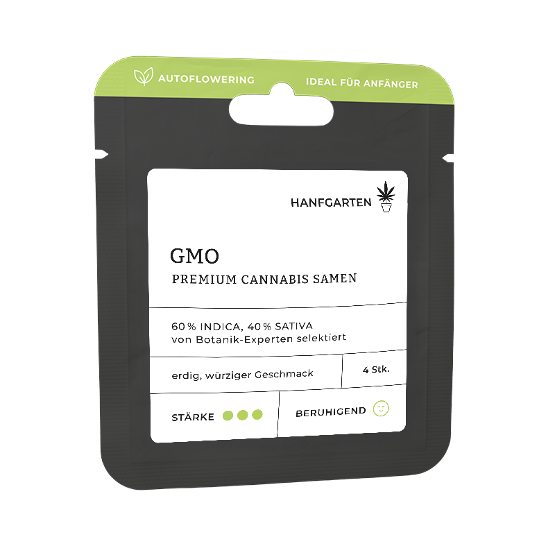 Hanfgarten GMO | Autoflowering