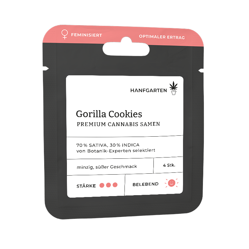 Hanfgarten Gorilla Cookies | Feminisiert