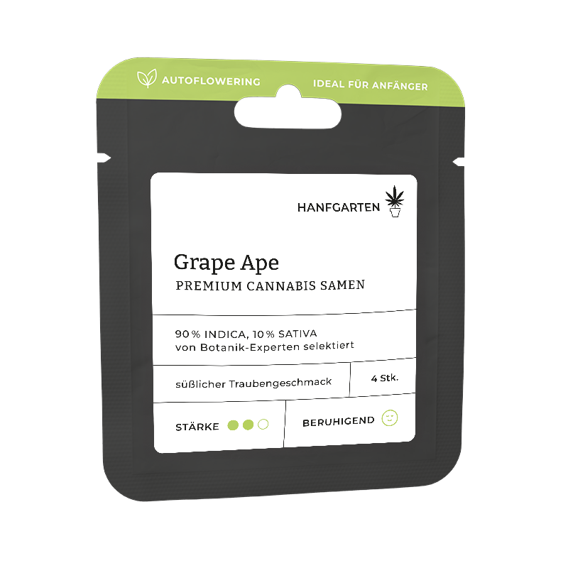 Hanfgarten Grape Ape | Autoflowering