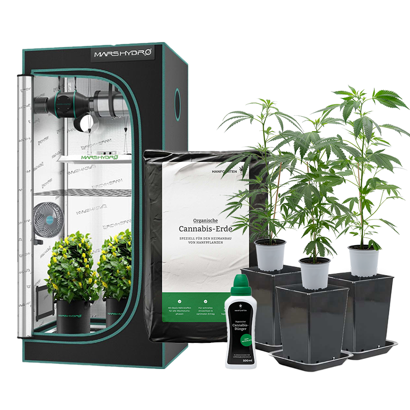 Hanfgarten Indoor-Anbau Rundum Sorglos Paket | Stecklinge (groß)