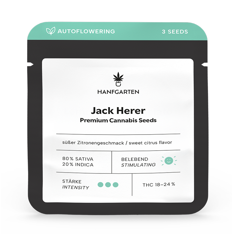 Hanfgarten Jack Herer | Autoflowering