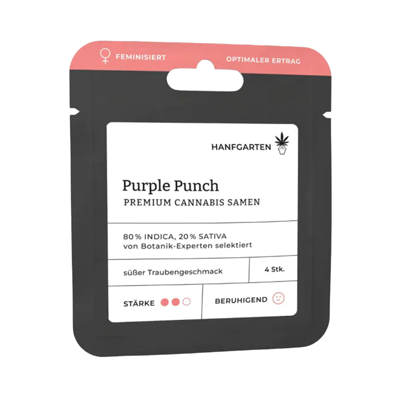 Hanfgarten Purple Punch | Feminisiert
