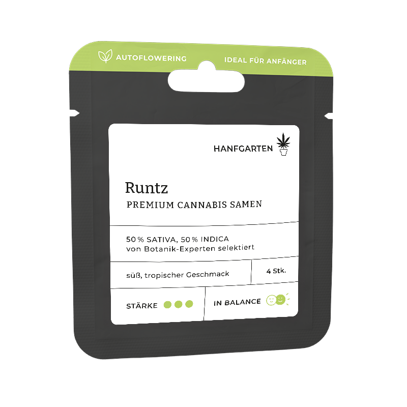 Hanfgarten Runtz | Autoflowering