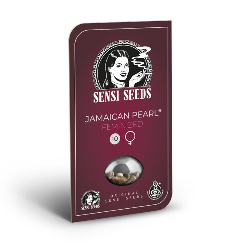 Sensi Seeds Jamaican Pearl | Feminisiert